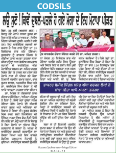 healthy weight loss solutions