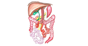 sleeve gastrectomy surgery