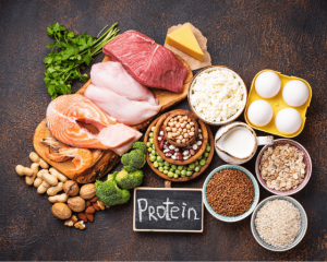 protein-rich diet
